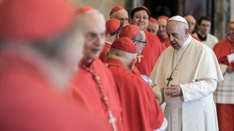Papst Franziskus begrüßt Kardinäle für die Abstimmung über einige Heiligsprechungsverfahren / © Vatican Media (KNA)