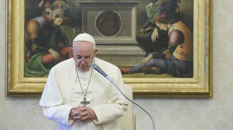 Papst Franziskus in der Privatbibliothek im Vatikan / © Vatican Media/Romano Siciliani (KNA)