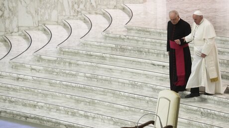 Papst Franziskus (r) geht gemeinsam mit Monsignore Leoardo Sapienza die Stufen der vatikanischen Audienzhalle hinunter / © Gregorio Borgia (dpa)