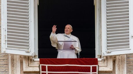 Papst Franziskus / © Domenico Stinellis/AP (dpa)