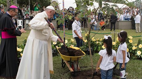 Papst Franziskus pflanzt einen "Baum des Friedens" im Parque Los Fundadores in Villavicencio / © Osservatore Romano (KNA)