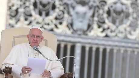Papst spricht zu Gläubigen während der Generalaudienz / © Claudio Peri (dpa)