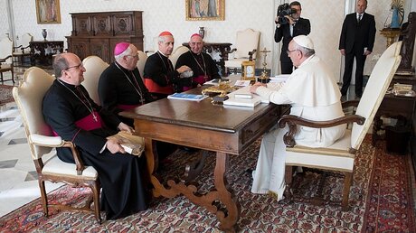 Papst Franziskus mit Vertretern der argentinischen Bischofskonferenz / © Osservatore Romano/Handout (dpa)