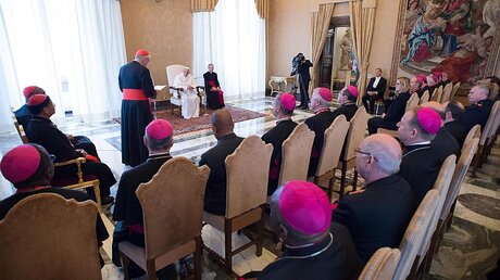 Papst Franziskus empfängt Mitglieder der Santa Marta Group / © Osservatore Romano/Handout (dpa)
