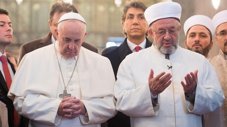 Papst Franziskus mit gefalteten Händen  (dpa)