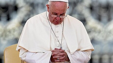 Papst Franziskus bei der Generalaudienz (dpa)