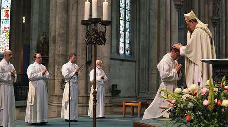 Priesterweihe im Kölner Dom / © Robert Boecker (privat)