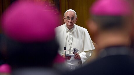 Papst Franziskus spricht zu Bischöfen auf Familiensynode / © Ettore Ferrari (dpa)