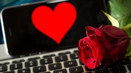 Rose auf einer Computertastatur / © Sven Hoppe (dpa)