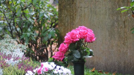 Rosen stehen - auch auf einem Friedhof - immer für eine Liebeserklärung / © Beatrice Tomasetti (DR)