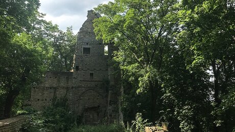 Ruinen der Abtei auf dem Disibodenberg in Odernheim am Glan / © Alexander Brüggemann (KNA)