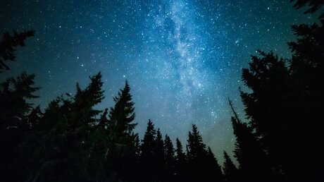 Sterne am Himmel / © Andrey Prokhorov (shutterstock)