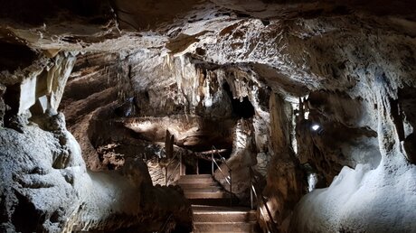Tropfsteinhöhle in Han-sur-Lesse / © Johannes Schröer (DR)