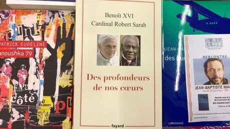 Buch von Kardinal Sarah und Benedikt XVI. / © Christian Böhmer (dpa)