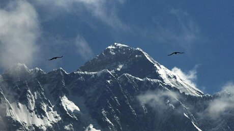 Vögel fliegen vor dem Mount Everest / © Niranjan Shrestha (dpa)