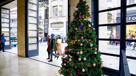 Weihnachtsbaum in einem Geschäft / © Marion Sendker (DR)