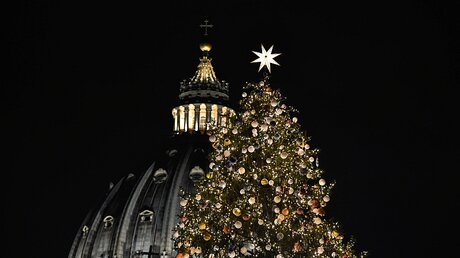 Weihnachtsbaum vor der Kuppel des Petersdoms im Vatikan / © Cristian Gennari (KNA)
