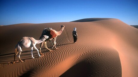 Kamelführer zieht durch die Sahara / © Andreas Hoffmann (KNA)
