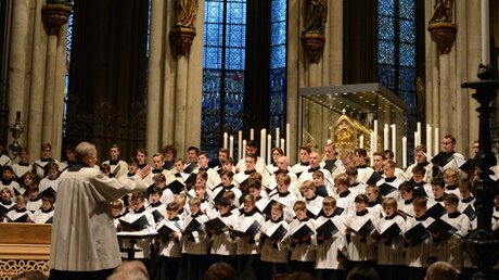 Zum ersten Mal ist der Kölner Domchor Gastgeber der Würzburger Domsingknaben. / © Beatrice Tomasetti (DR)