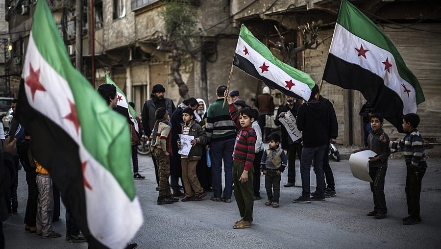 Kinder mit syrischen Flaggen / © Mohammed Badra (dpa)