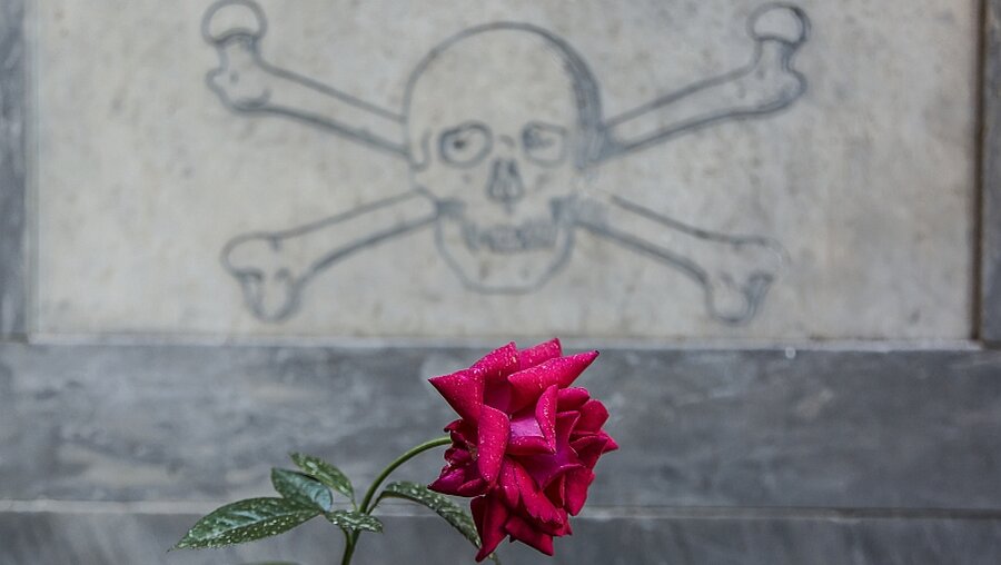 Gedenke deines Todes - mit Humor / ©  Stefano Dal Pozzolo (KNA)
