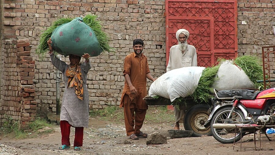 Bauern in einem Dorf in Zentral-Punjab, Pakistan / © Christine-Felice Röhrs (dpa)
