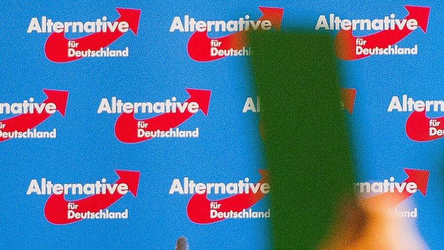 Alternative für Deutschland / © Daniel Bockwoldt (dpa)