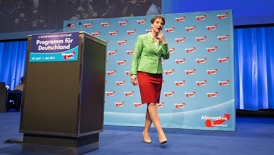 Frauke Petry, Parteivorsitzende der AfD / © Christoph Schmidt (dpa)