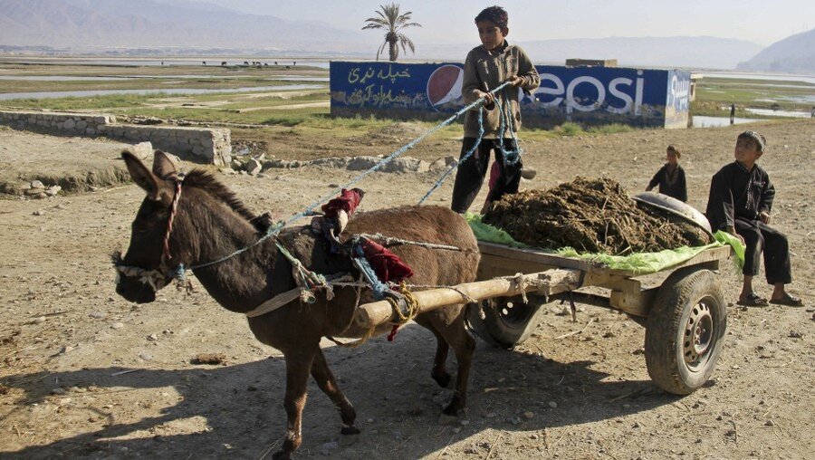 Kinder in Afghanistan  (dpa)