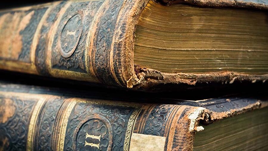 Alte Bücher, in Leder eingebunden / © Shaiith (shutterstock)