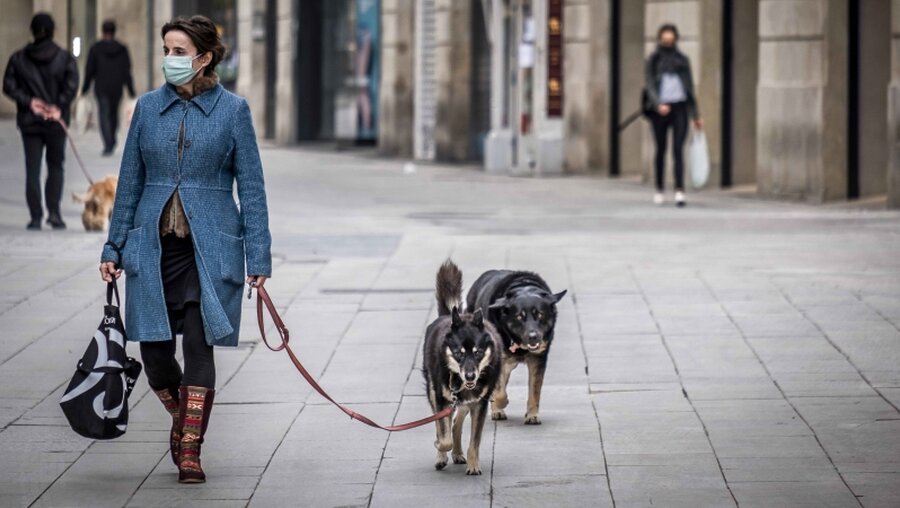 Barcelona: Eine Frau geht während der Coronavirus-Pandemie mit ihren Hunden spazieren / © Paco Freire (dpa)