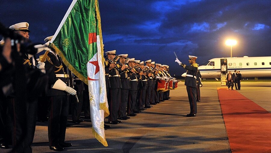 Militär mit algerischer Flagge / © Str (dpa)