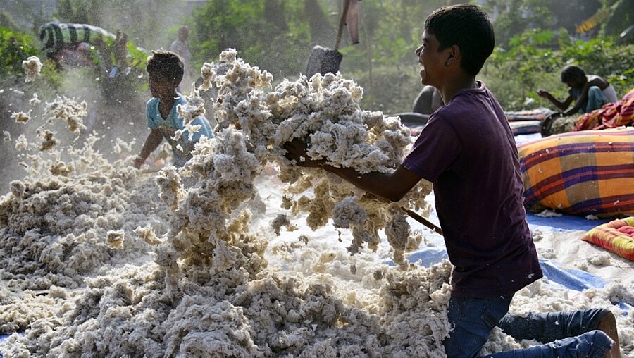 Baumwolle in Indien / © Str (dpa)
