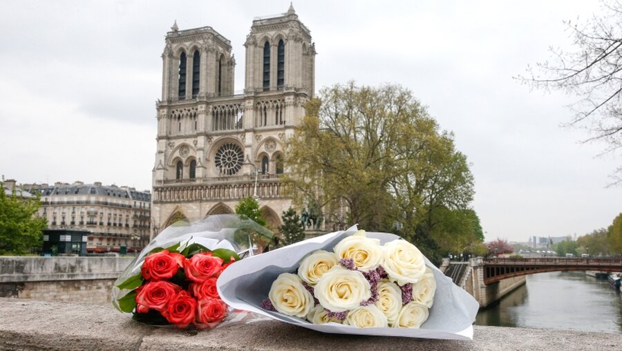 Blumen vor Notre-Dame / © Paul Haring (KNA)