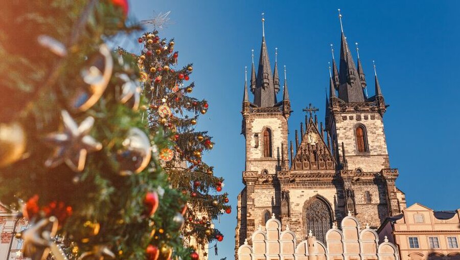 Christbaum vor einer Kirche in Prag / © frantic00 (shutterstock)