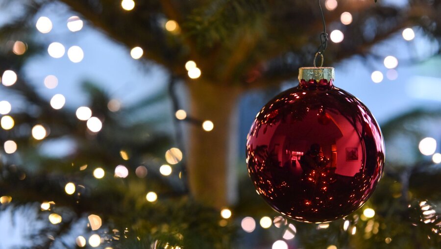 Christbaumkugel in einem Weihnachtsbaum / © Elisabeth Schomaker (KNA)