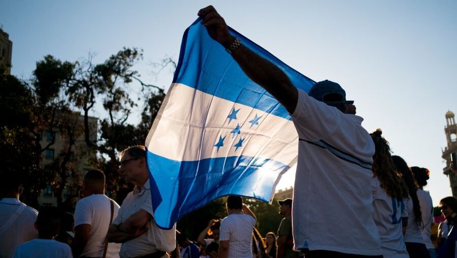 Demonstrant mit einer Fahne von Honduras / © Davide Bonaldo (shutterstock)