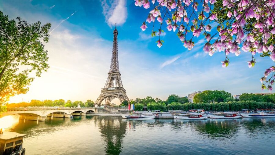 Der Eiffelturm in Paris / © Neirfy (shutterstock)
