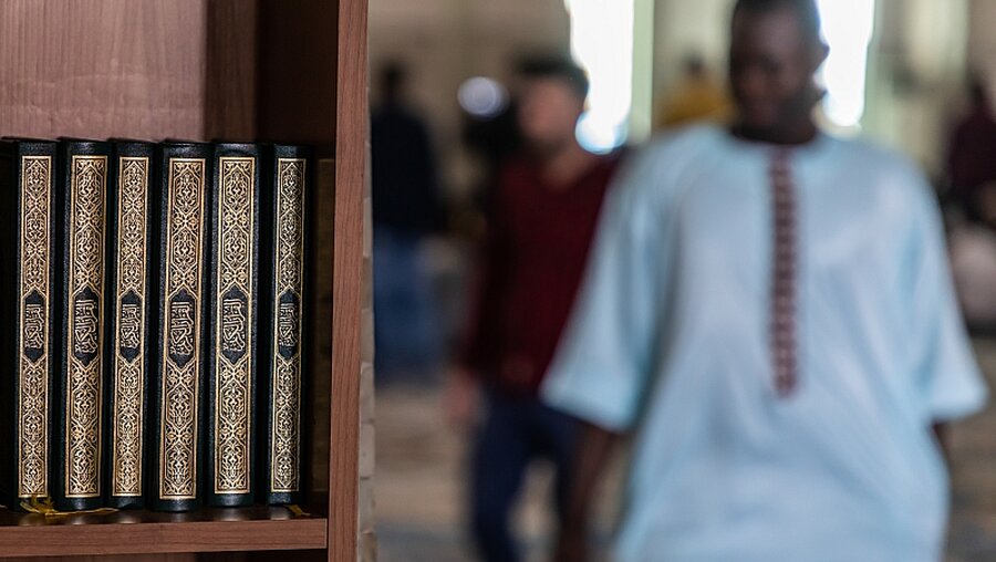 Der Koran in einer Regalwand / © Stefano dal Pozzolo (KNA)