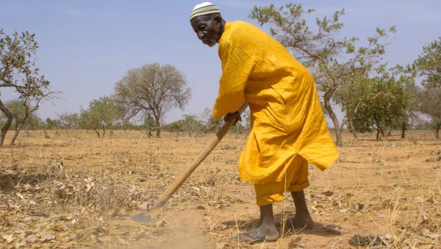 Der nigrische Bauer Mahamoud Kader Goni arbeitet nach der FMNR Methode / © Bettina Ruehl (epd)