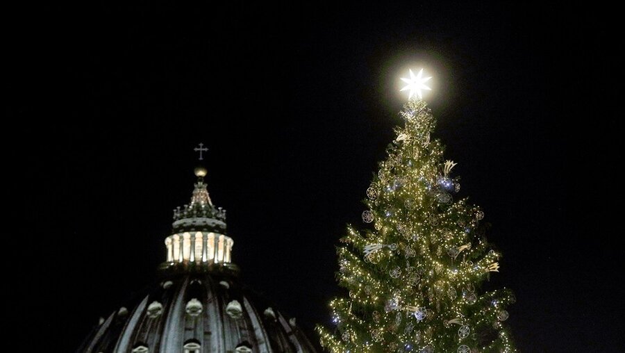 Der Petersdom und die Spitze des Weihnachtsbaum nach der Weihnachtsbaum- und Krippenbeleuchtungszeremonie im Vatikan / © Gregorio Borgia (dpa)
