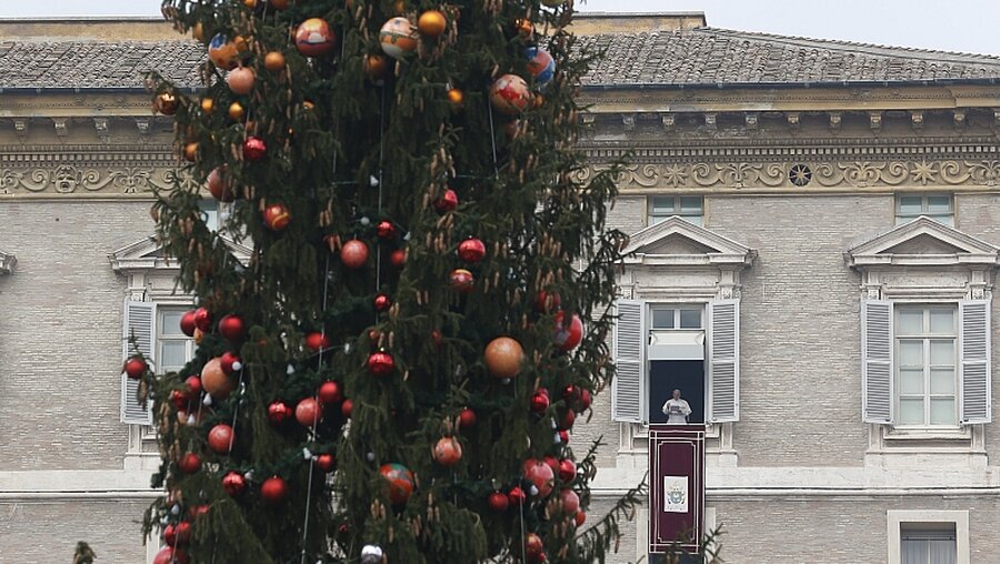 Archiv: Der Weihnachtsbaum auf dem Petersplatz / © Paul Haring (KNA)