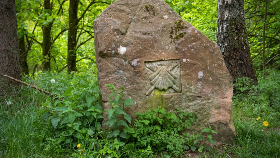 Die Jakobsmuschel als Zeichen für den Pilgerweg - hier in der Karlstalschlucht im Pfälzer Wald / © Pilgerin (shutterstock)