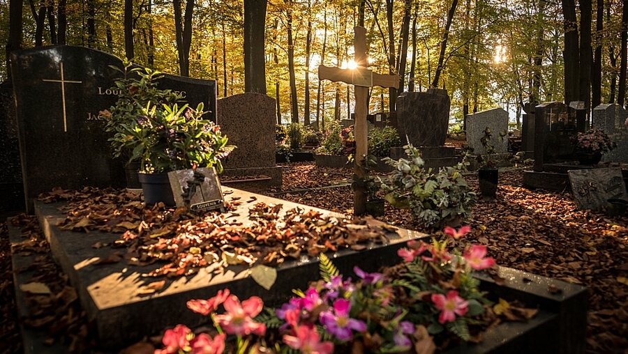Herbstlaub auf einem Friedhof / © Olivier Donnars (KNA)