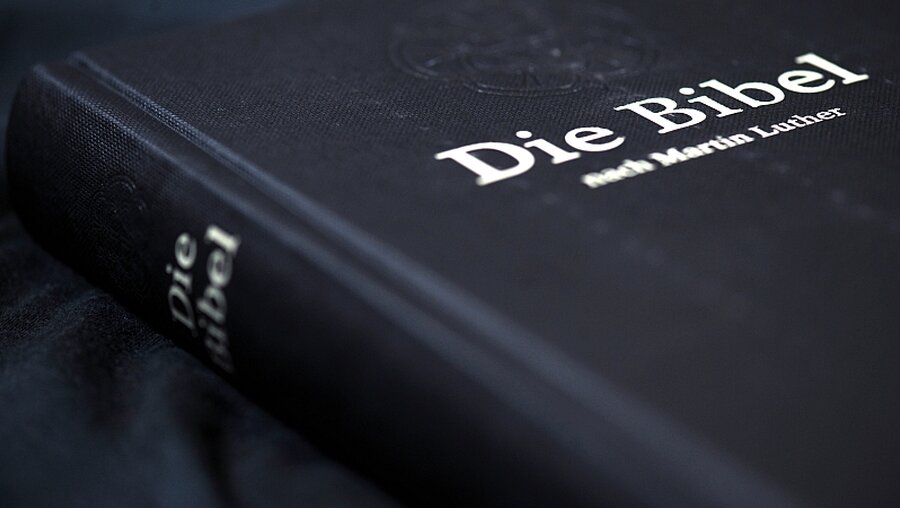 Verkaufsschlager: die Bibel  / © Peter Endig (dpa)