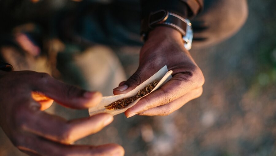 Ein Mann dreht einen Joint / © AnnaTamila (shutterstock)