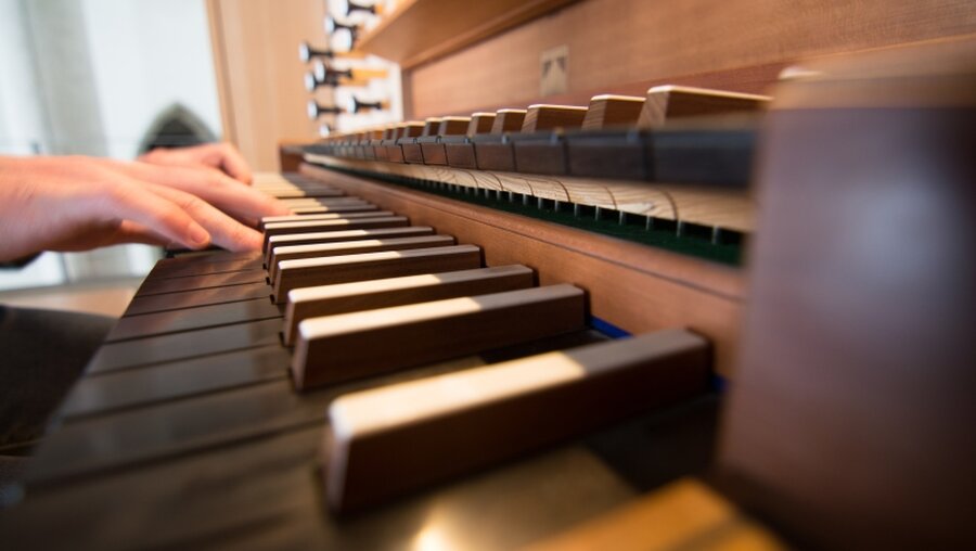 Ein Mann spielt eine Orgel / © Thaliarchus (shutterstock)