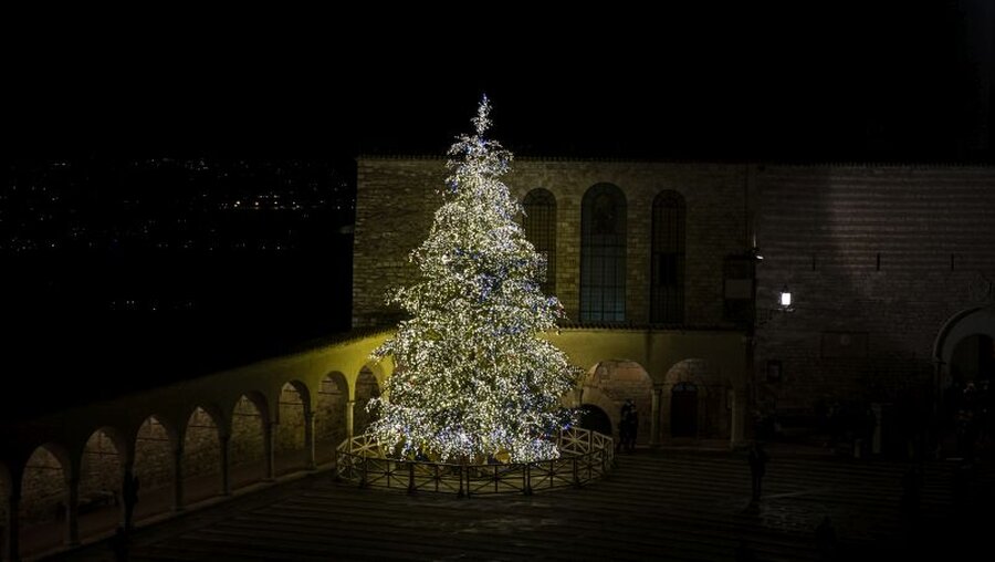 Ein Weihnachtsbaum mit 40.000 Lichtern aus der italienischen Provinz Trentino vor der Basilika des Heiligen Franziskus / © Sacro Convento Assisi (privat)