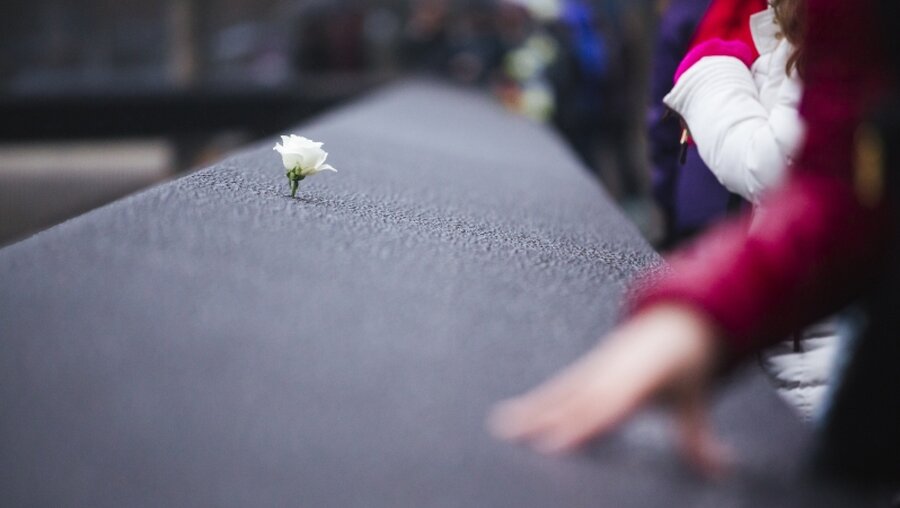 Eine Blume im 9/11 Memorial Museum in New York / © Juanan Barros Moreno (shutterstock)