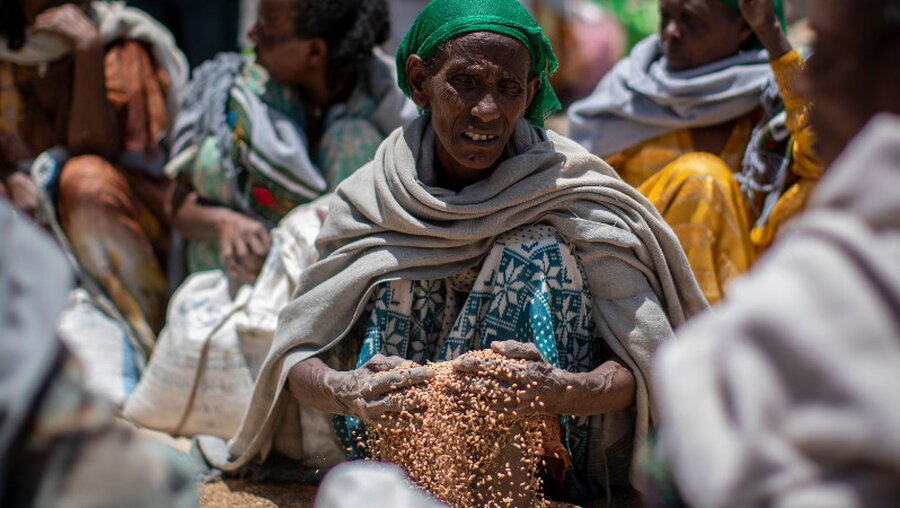 Eine Frau schaufelt Weizenkörner auf, nachdem diese von der Relief Society of Tigray im Norden Äthiopiens verteilt wurden / © Ben Curtis (dpa)